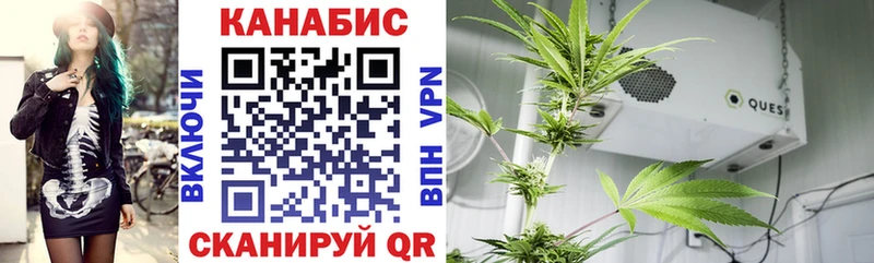 Галлюциногенные грибы Урай